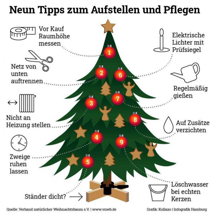 Tipps zum Aufstellen und Pflegen des Weihnachtsbaums
