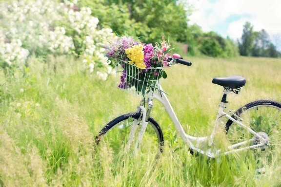 Ein Fahrrad steht in der Frühlingswiese Bild: Pixabay