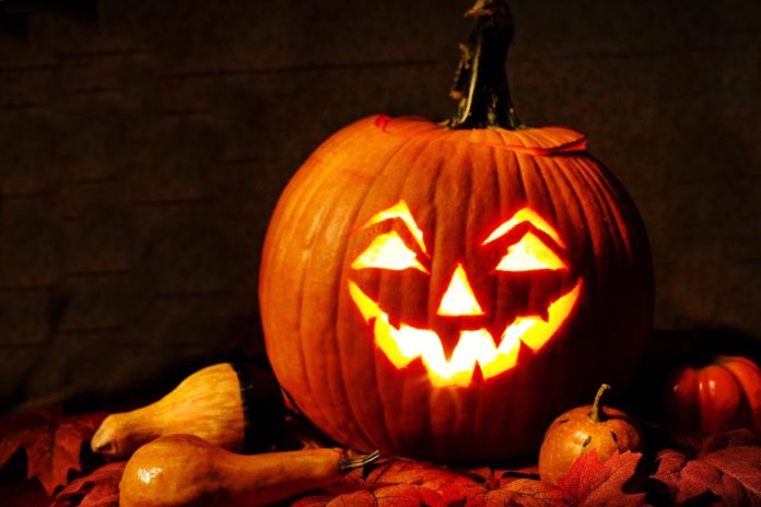 Halloween-Kürbis Bildquelle: Pixabay